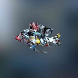艺青盟lots of rubbish around a fish2