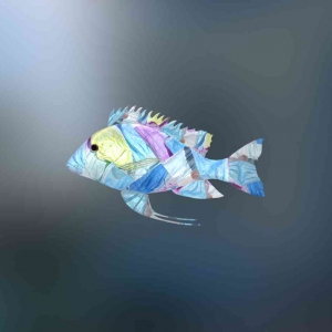 艺青盟lots of rubbish around a fish2