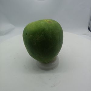 20180505-105217