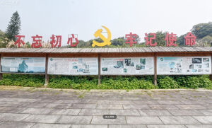 热土雨林