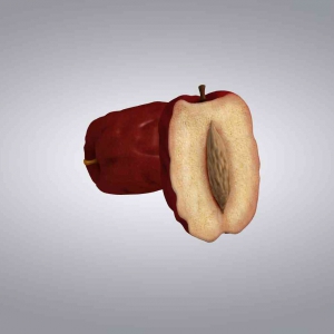 红枣