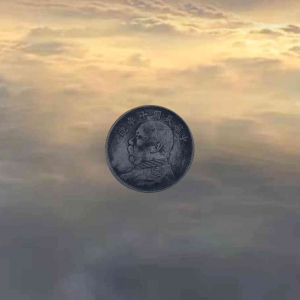 袁大头