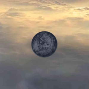 袁大头